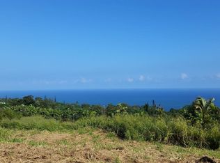 LOT D Lot D, Laupahoehoe, HI 96764