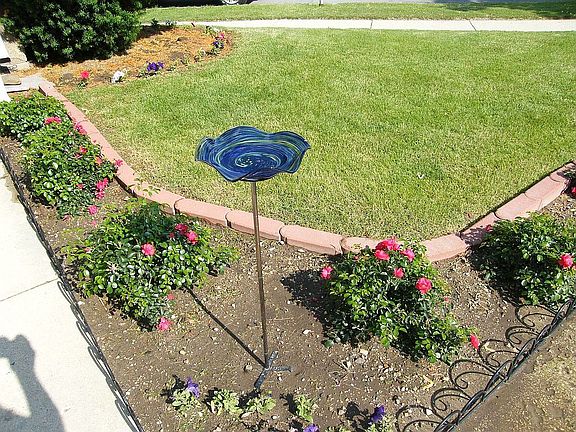 Along entrance to front door Big House. This will evolve to a Rose Hedge.