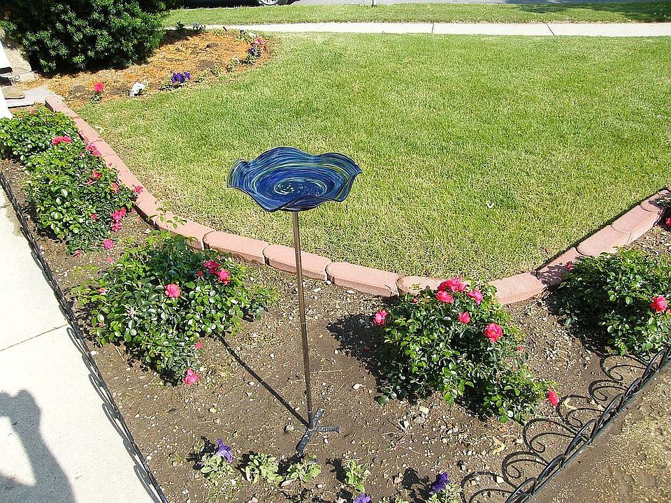 Along entrance to front door Big House. This will evolve to a Rose Hedge.