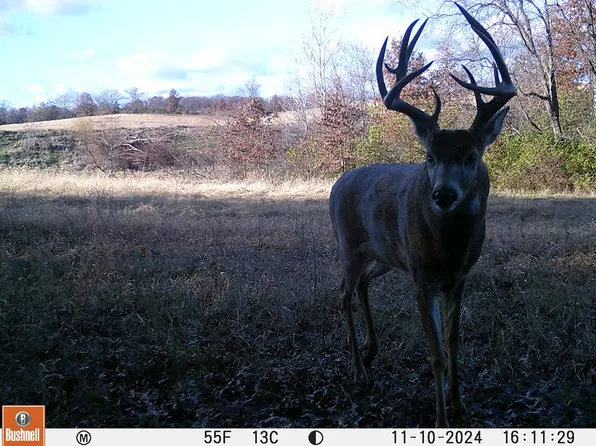 0 State Highway J #146, Galt, MO 64641