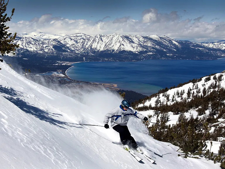 450 N Arlington Ave #1209 — Photo 65