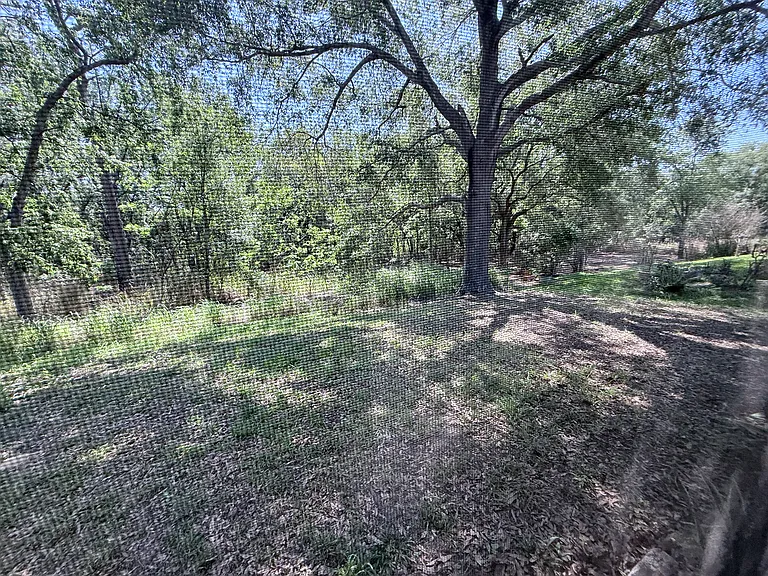 2771 Cedaridge Cir — Photo 53