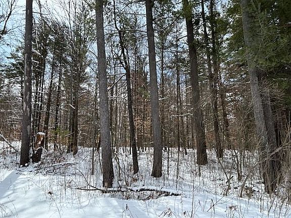 3rd image of 97 Greenly Rd