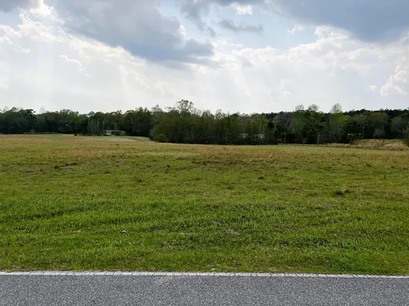 279 Arthur Lowe Rd, Lumberton, MS 39455