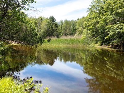 0 V/l #13, Bitely, MI, 49309