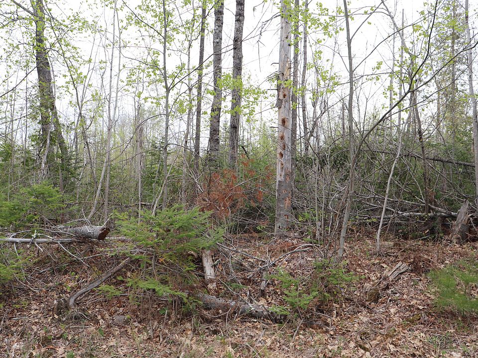 2nd image of 196 Shaw Hill Road