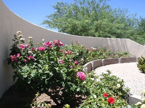 Rose Garden