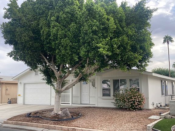 Grand Ficus tree provides shade and peaceful sounds of birds.