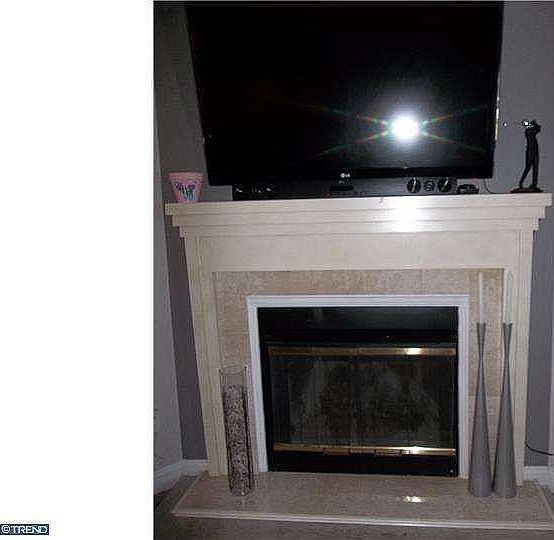 Gas Fire Place with TV rack