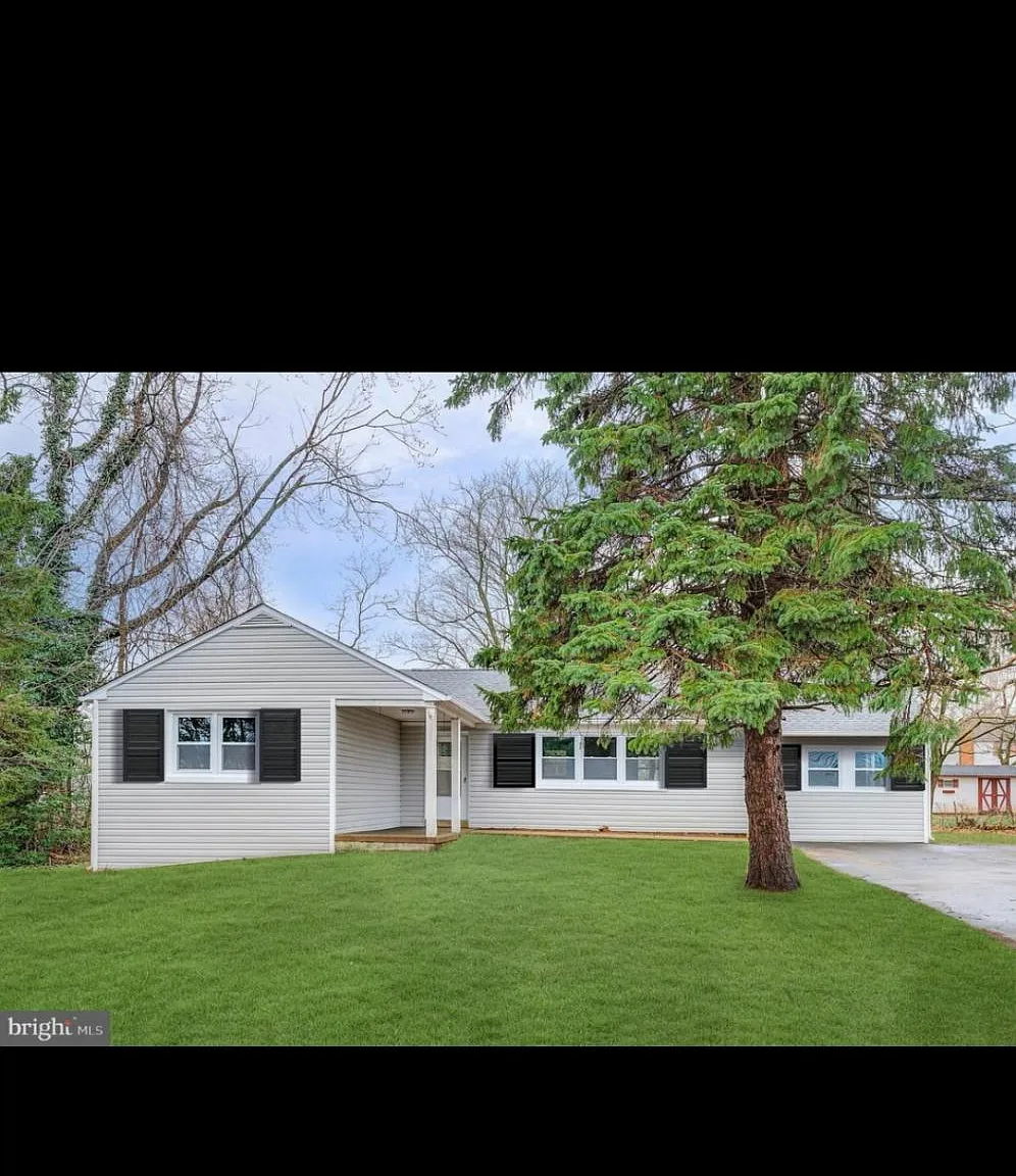 3 bed, 1550 sqft, $3,000 — Photo 4