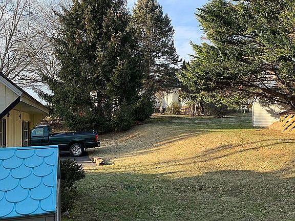 Back yard