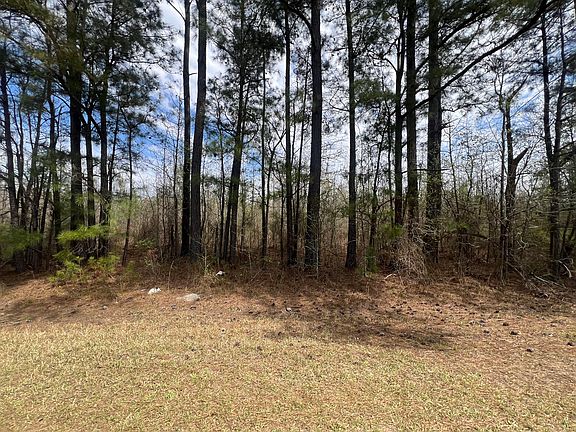 3rd image of 0 Marshall Church Road