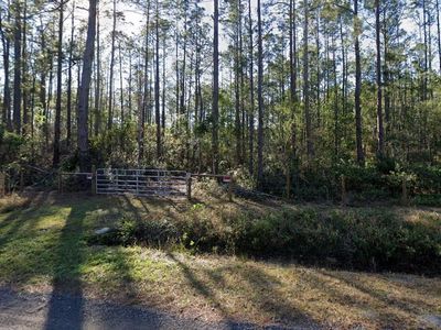 10255 Dillon Ave, Hastings, FL, 32145