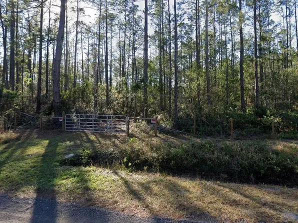 10255 Dillon Ave, Hastings, FL 32145