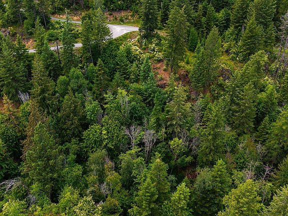 5th image of G10 Forest Highland Dr