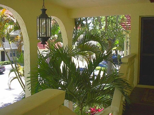View from Front Door