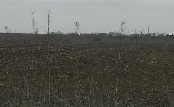 2nd image of 19115 Fm 973 N