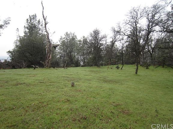 3rd image of 23 George Cameron Dr