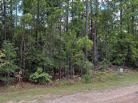 3rd image of Pinehurst Dr #273-7