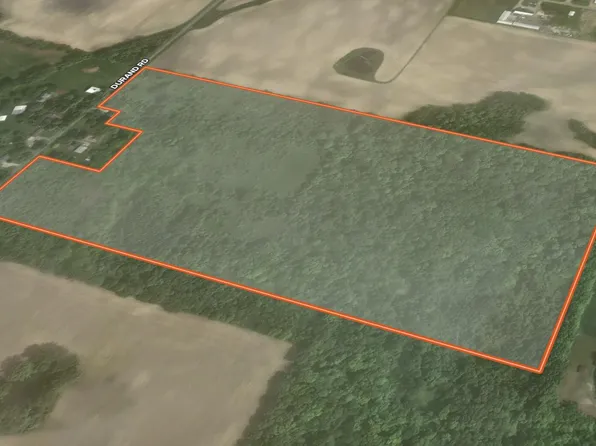 8453 S Durand Rd, Durand, MI 48429
