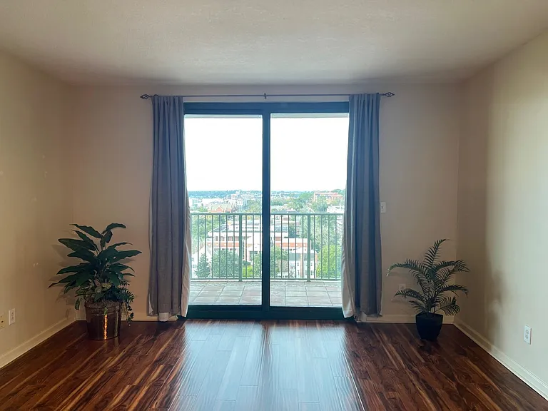300 S Duval St #903 — Photo 16