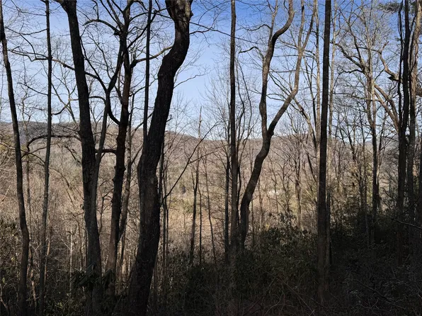 36 Rock Mountain Rd, Sapphire, NC 28774