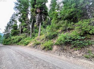 Lake Shore Drive Wallowa Lk, Joseph, OR 97846