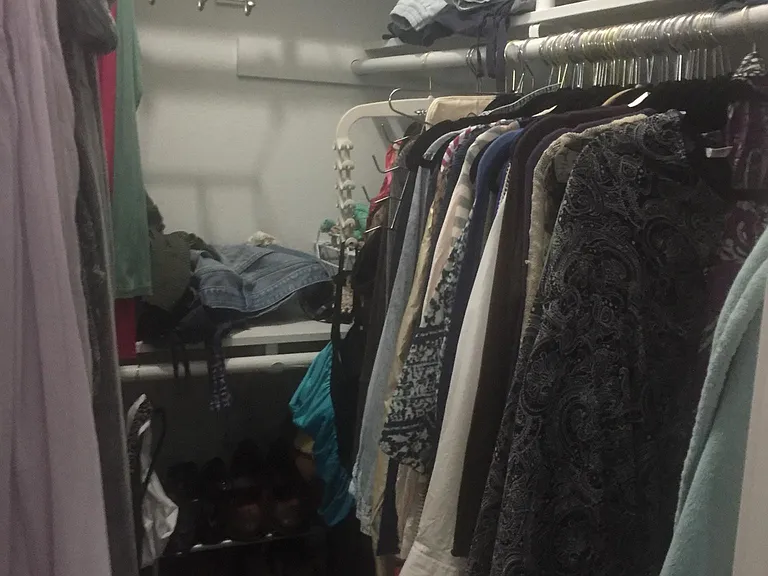 1 of 2 closets in the bedroom