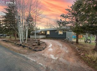 230 Circle Drive Ave, Woodland Park, CO 80863
