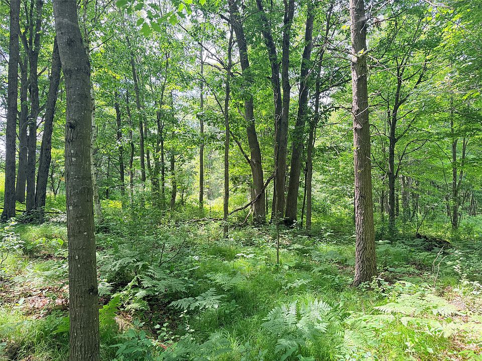 1st image of 10 Acres Peterson Road