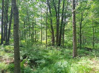 10 Acres Peterson Road, Bruce, WI 54819