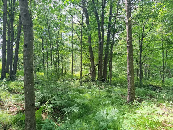 10 Acres Peterson Road, Bruce, WI 54819