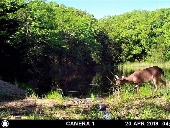 2nd image of 9590 Highway 34