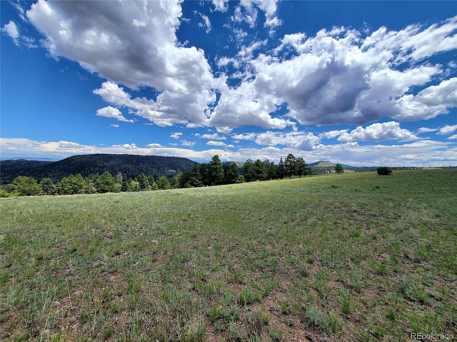 LOT 13 S Rito Hondo Ct, Antonito, CO 81120 Zillow