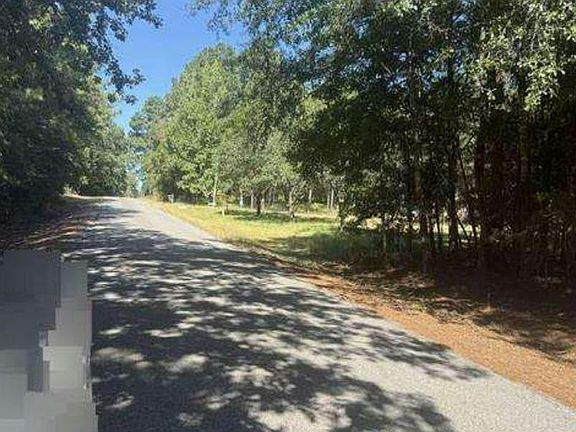 5th image of 217 Haney Smith Rd