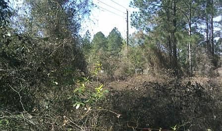 3rd image of Lot 209 Flager Estates