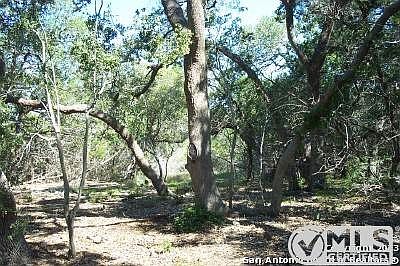 1st image of 133 Paradise Hls