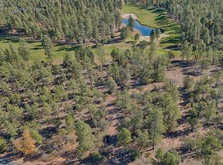 1541 S Falling Leaf Rd, Show Low, AZ 85901