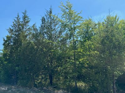 0 N State Highway 62 Hwy #11-2-45, Burlington, NC, 27217