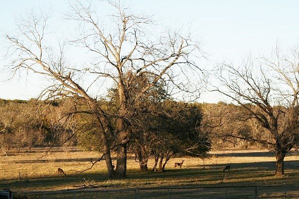 1st image of 805 County Road 162