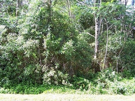 1st image of 31 Avenue