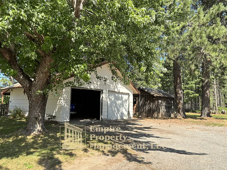 10239 Baldy Mountain Rd — Photo 3