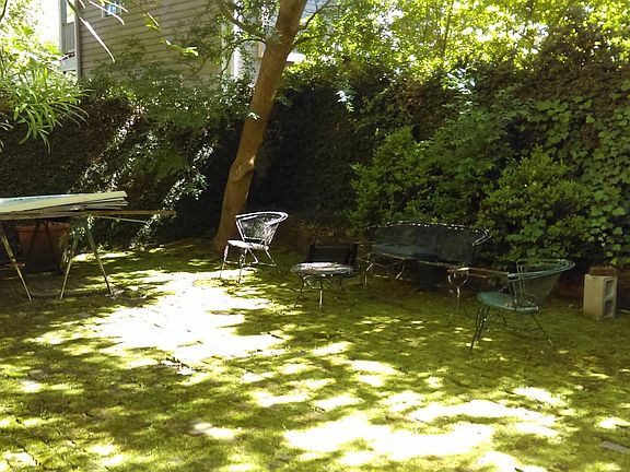 back yard around 5pm 4/18