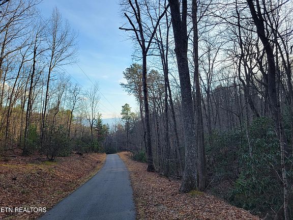 4th image of LOT 5 Swann Saddle Rd