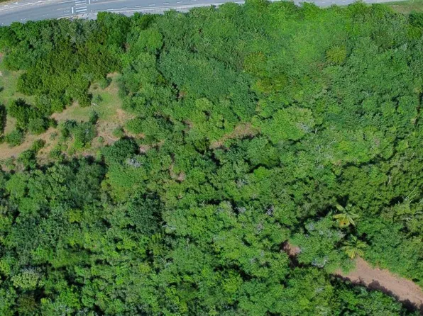 State Route 466 Km #11.7, Isabela, PR 00662