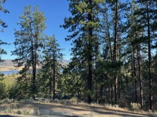 510 Hunt Ln, Davenport, WA 99122