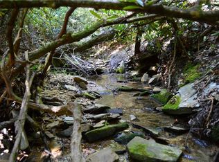 1 State Highway 89 W TRACT C-21AC, Danbury, NC 27016