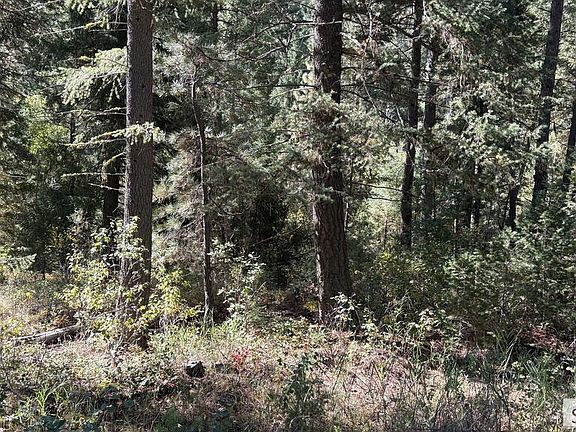 5th image of LOT 32 Sheep Creek Loop