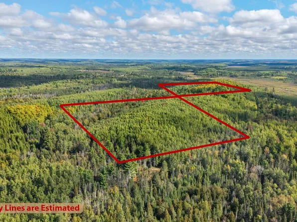 5321 W COUNTY ROAD 569, Abbotsford, MI 49873