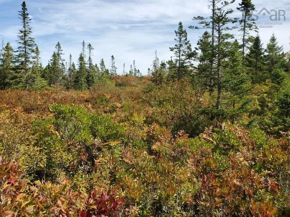 LOT Rockland Rd, Shelburne, NS B0T 1V0